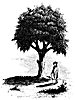 Liberty tree